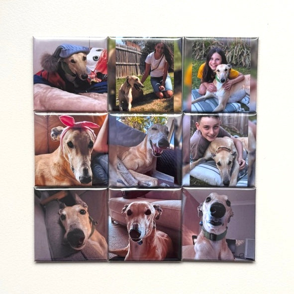 Set of 9 square custom photo magnets with dog photos in a grid — personalised fridge magnets handmade in Melbourne