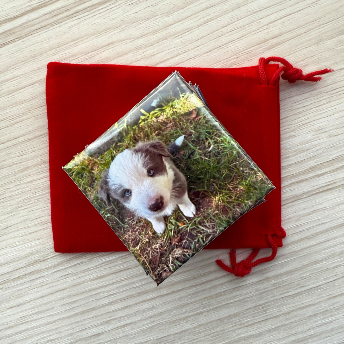  Personalised pet photo magnet with border collie puppy on red velvet pouch — custom dog fridge magnet handmade in Melbourne Australia
