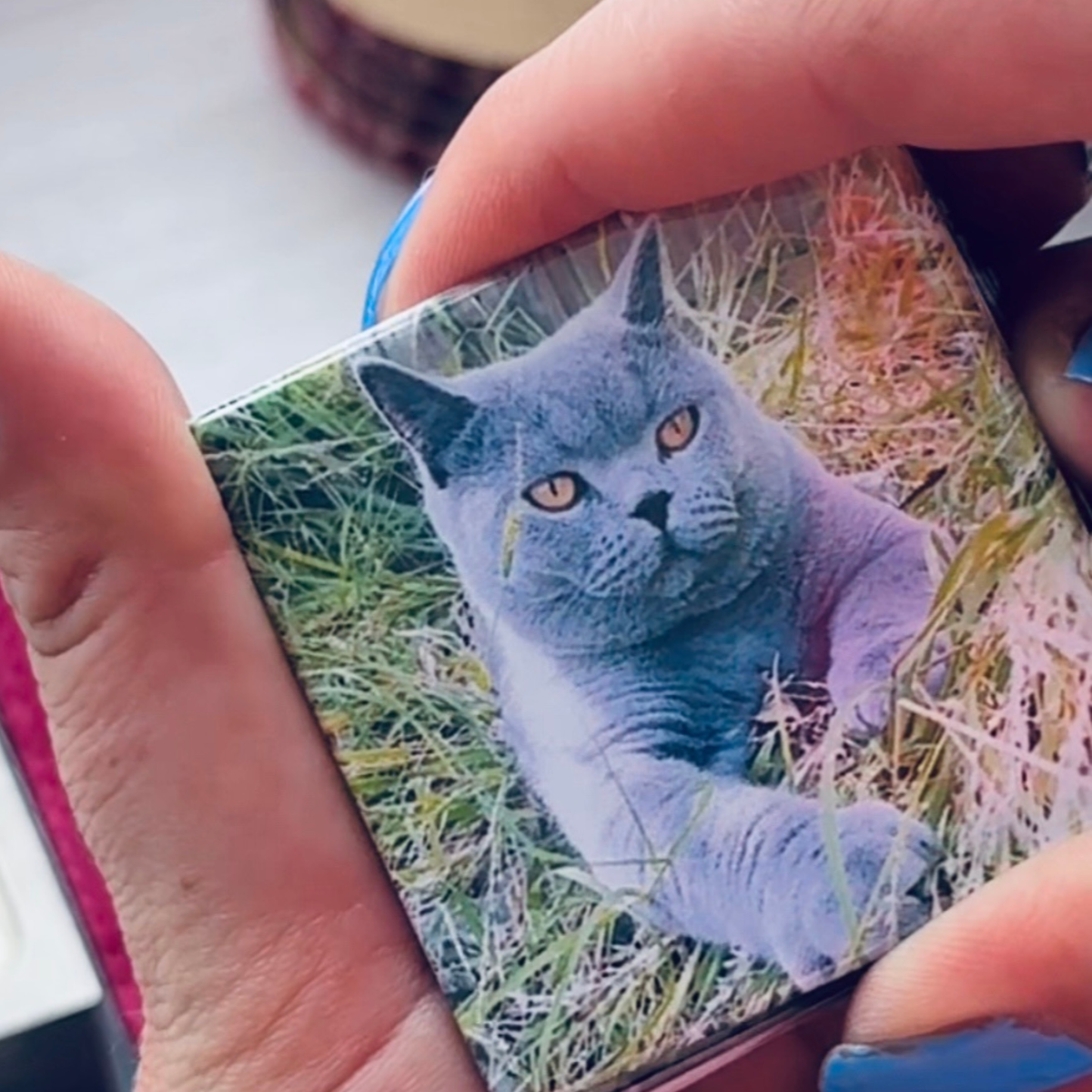 Personalised pet photo magnets handmade in Australia — custom cat and dog fridge magnets, unique gift idea